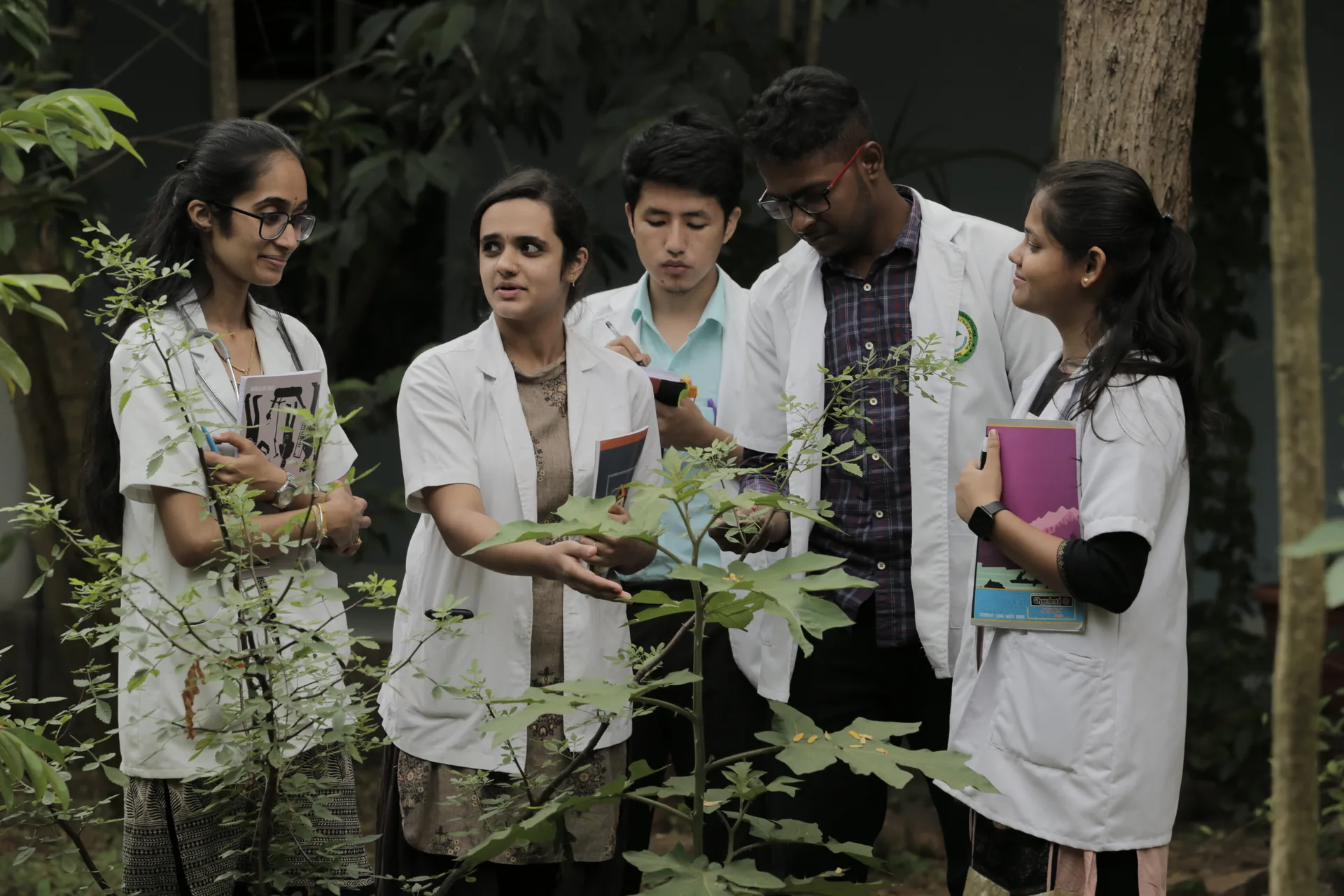 Herbal Garden at Sushrutha Ayurveda